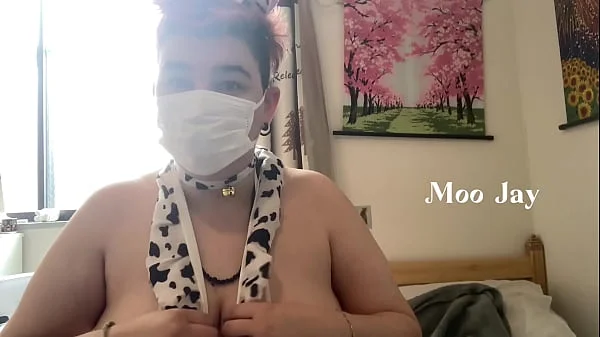 Cow with big tits