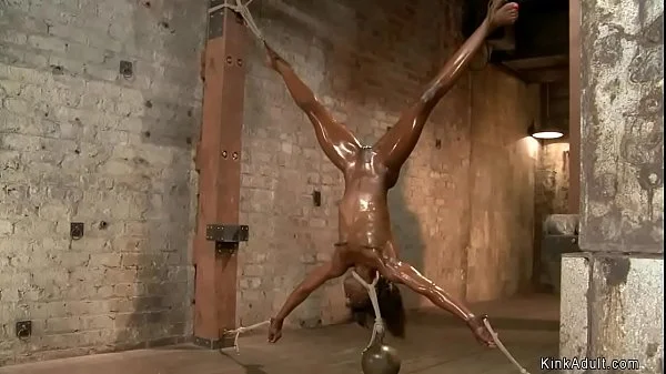 Oiled ebony in inverted bondage toyed