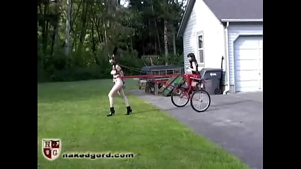The Red Pony Cart